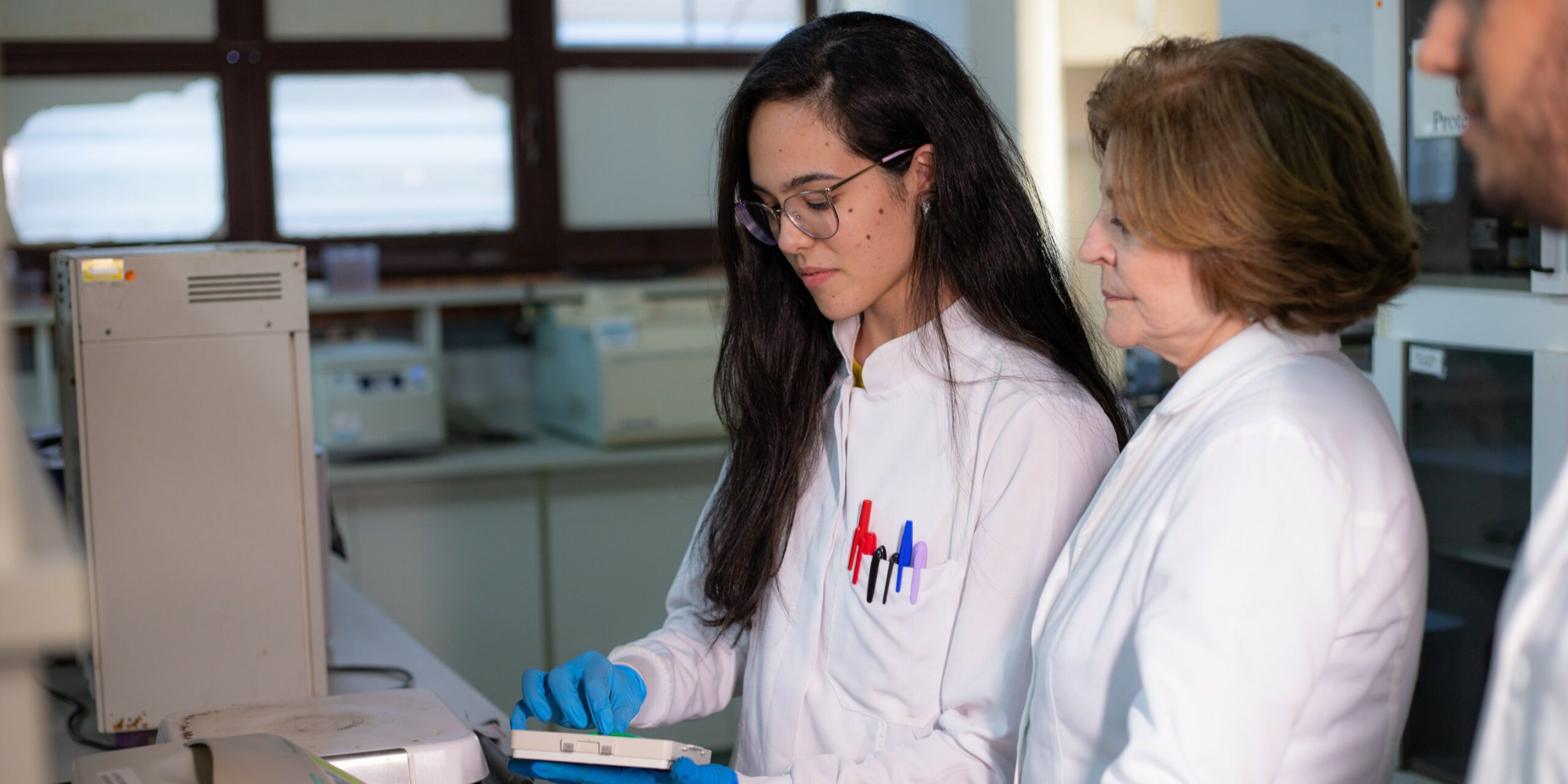 BioAgro UFV -138_corte