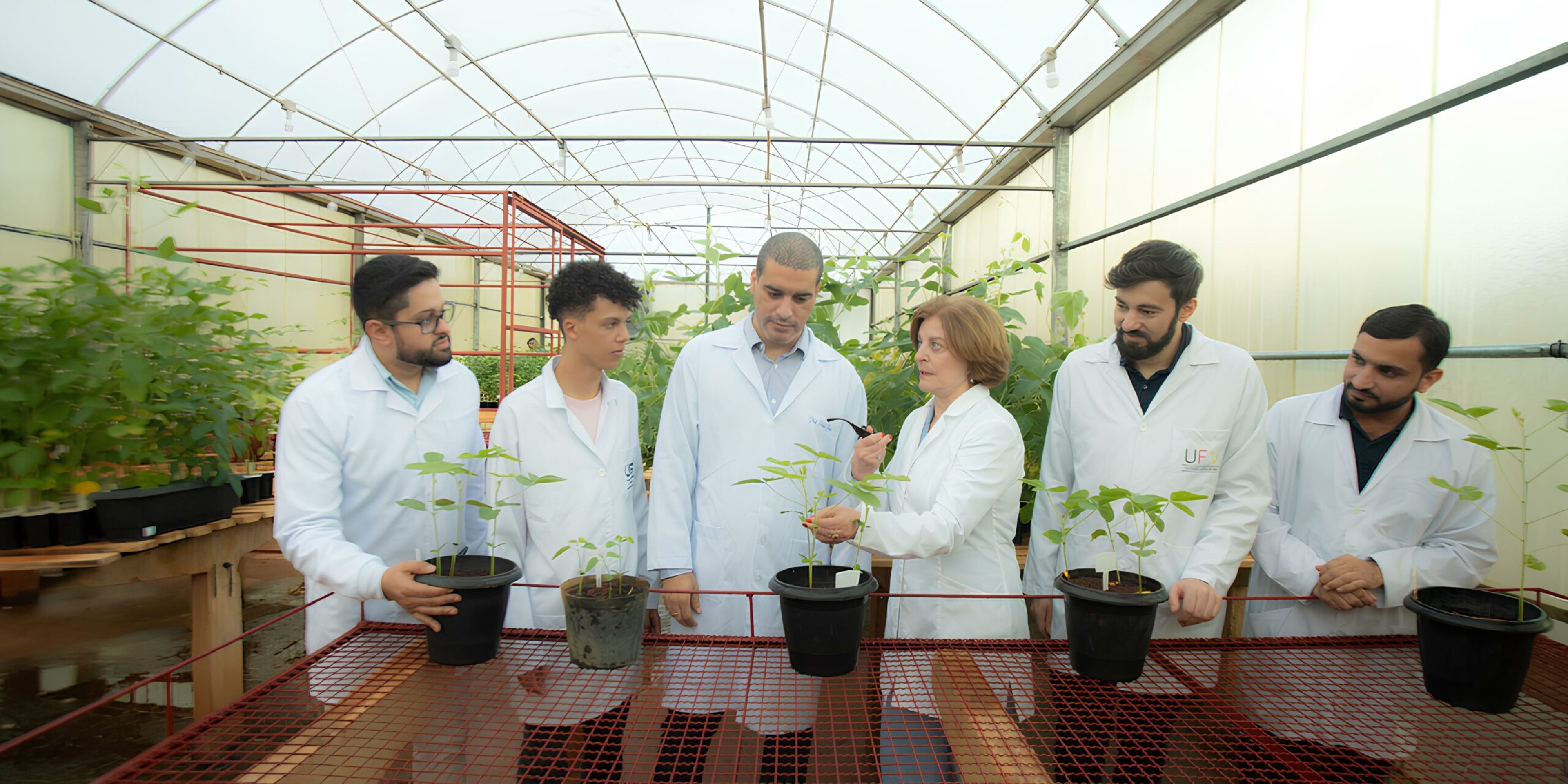 BioAgro UFV -182_corte_M