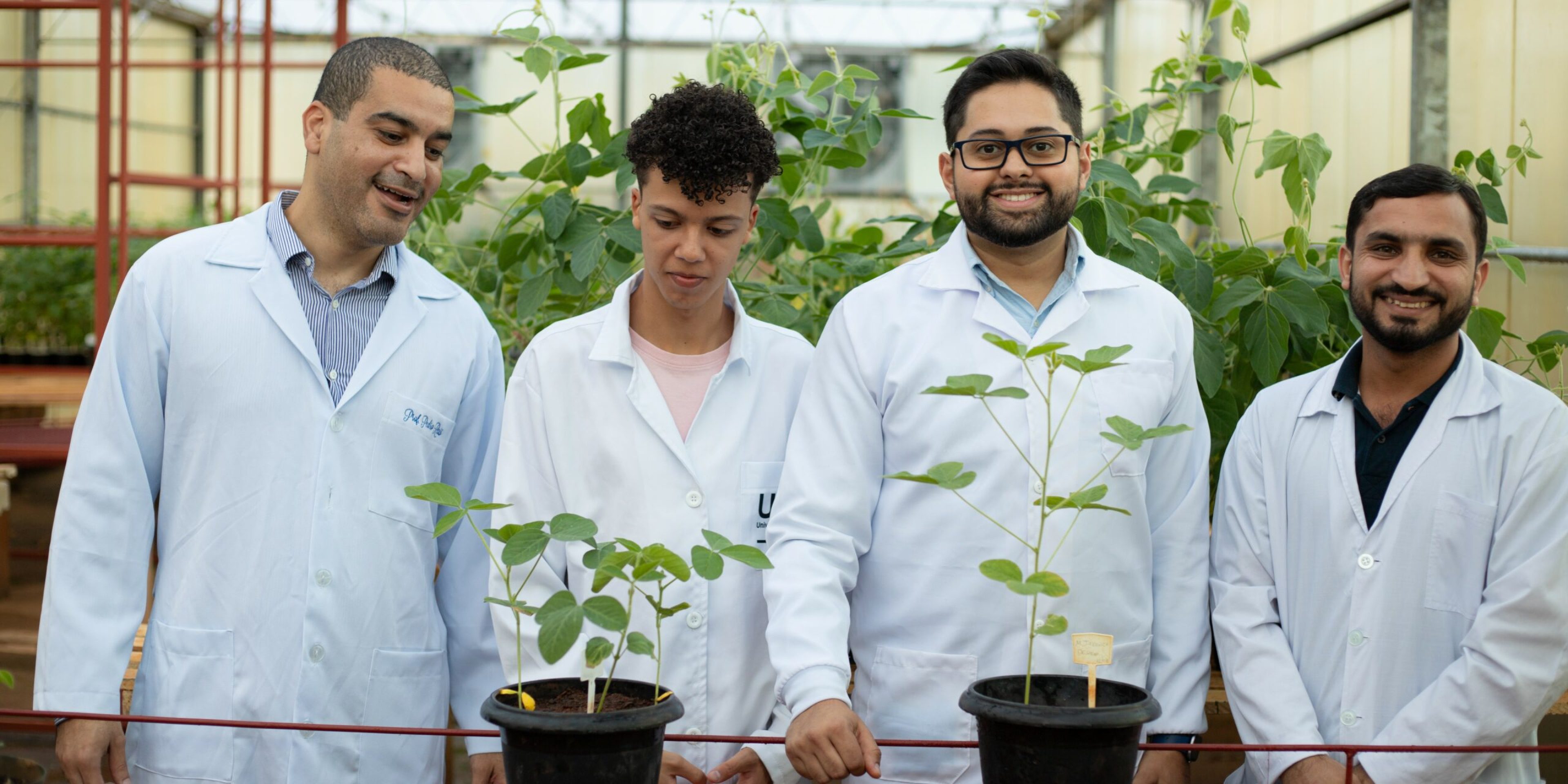 BioAgro UFV -189_corte