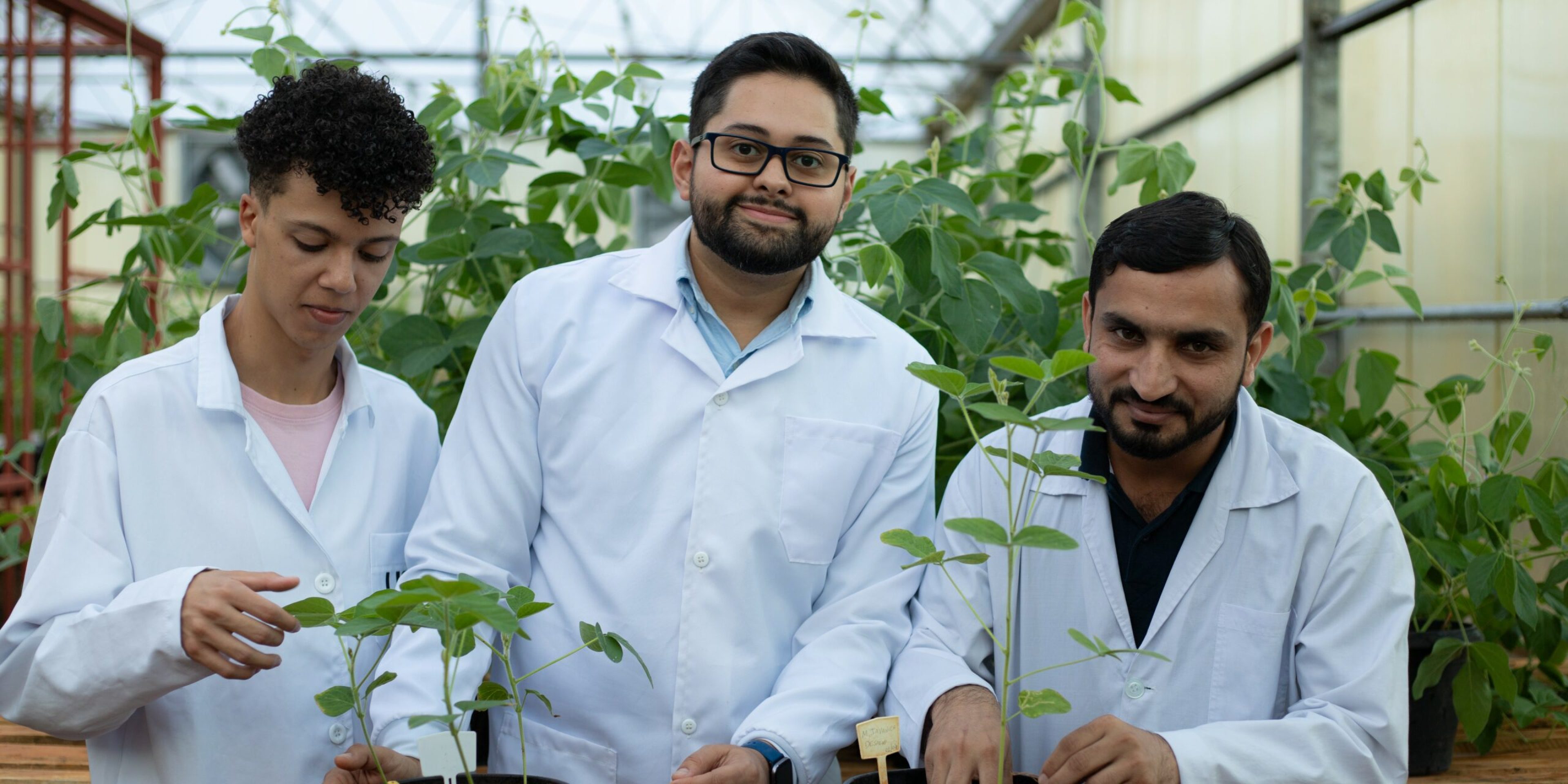 BioAgro UFV -197_corte