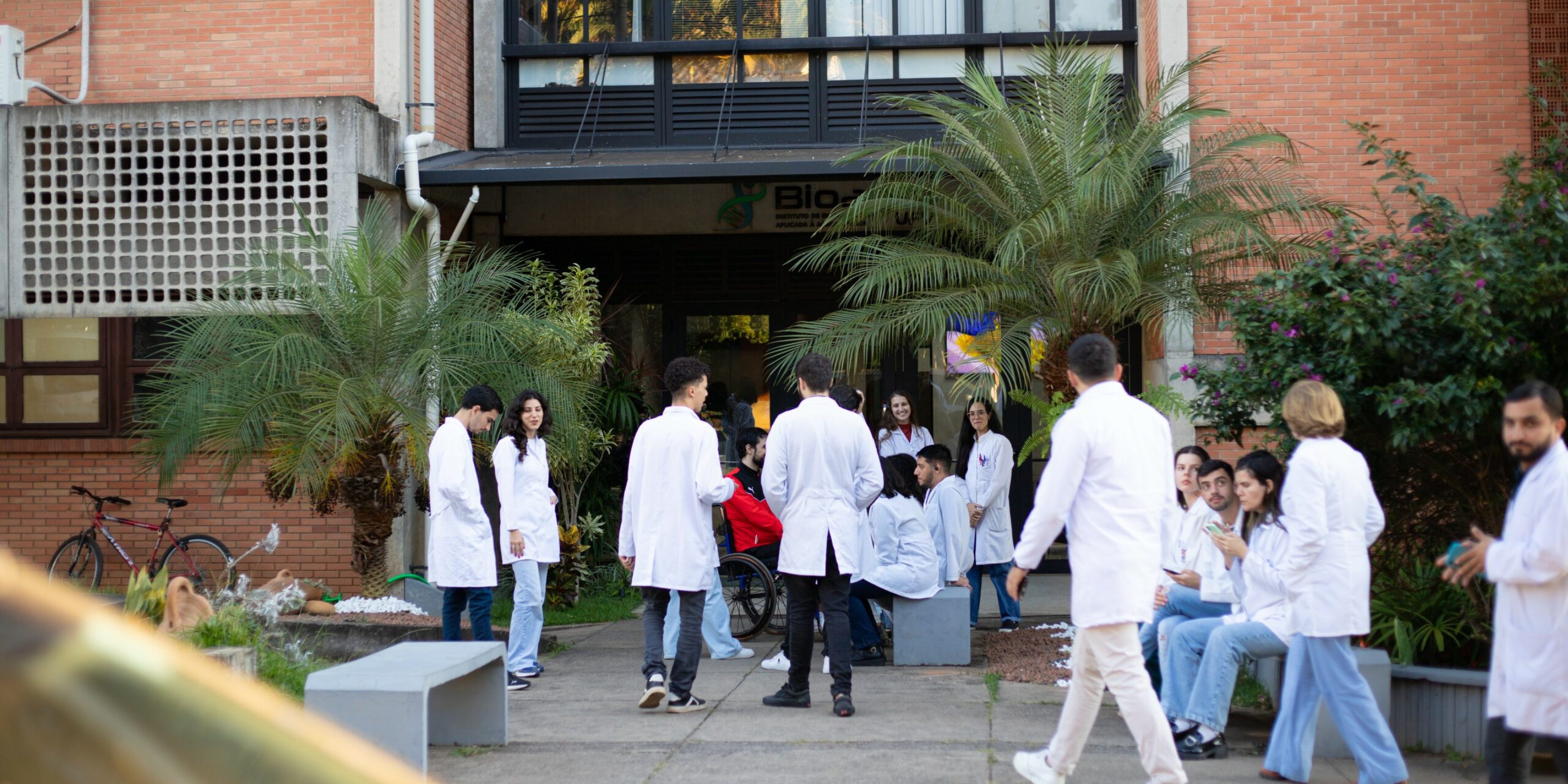BioAgro UFV -200_corte