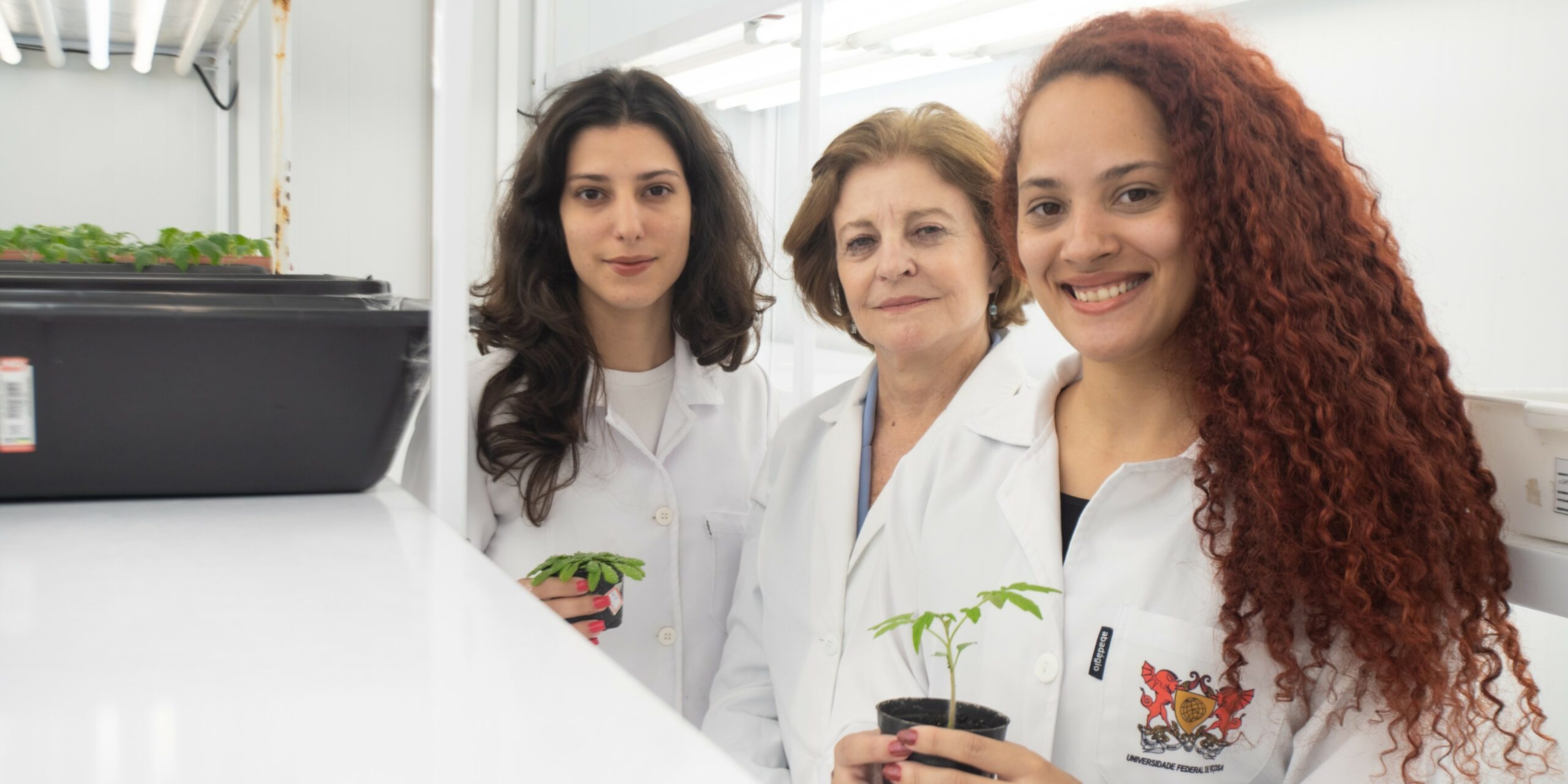 BioAgro UFV -226_corte
