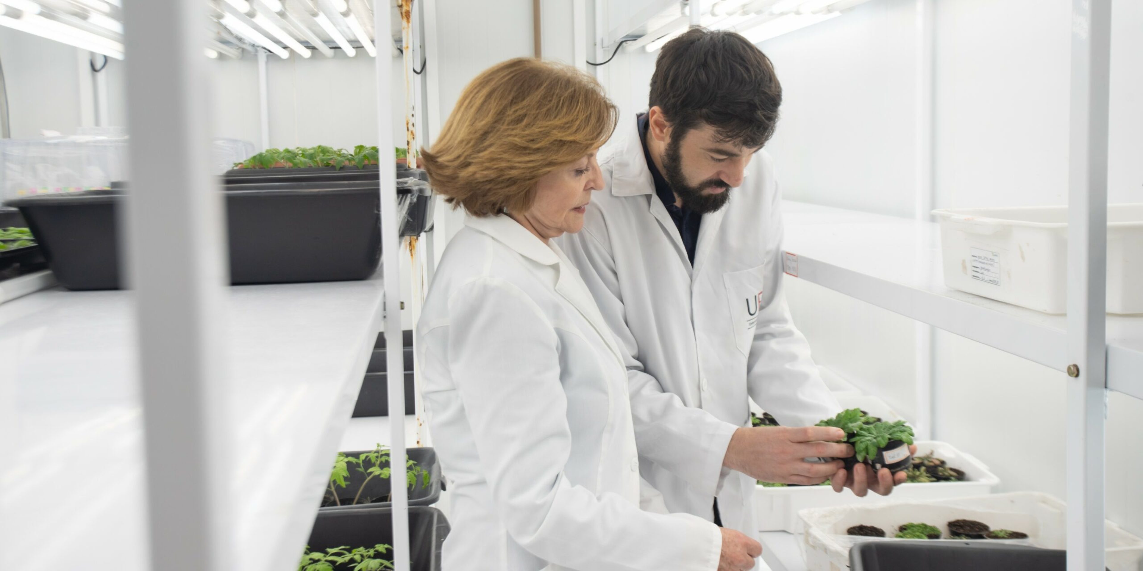 BioAgro UFV -228_corte